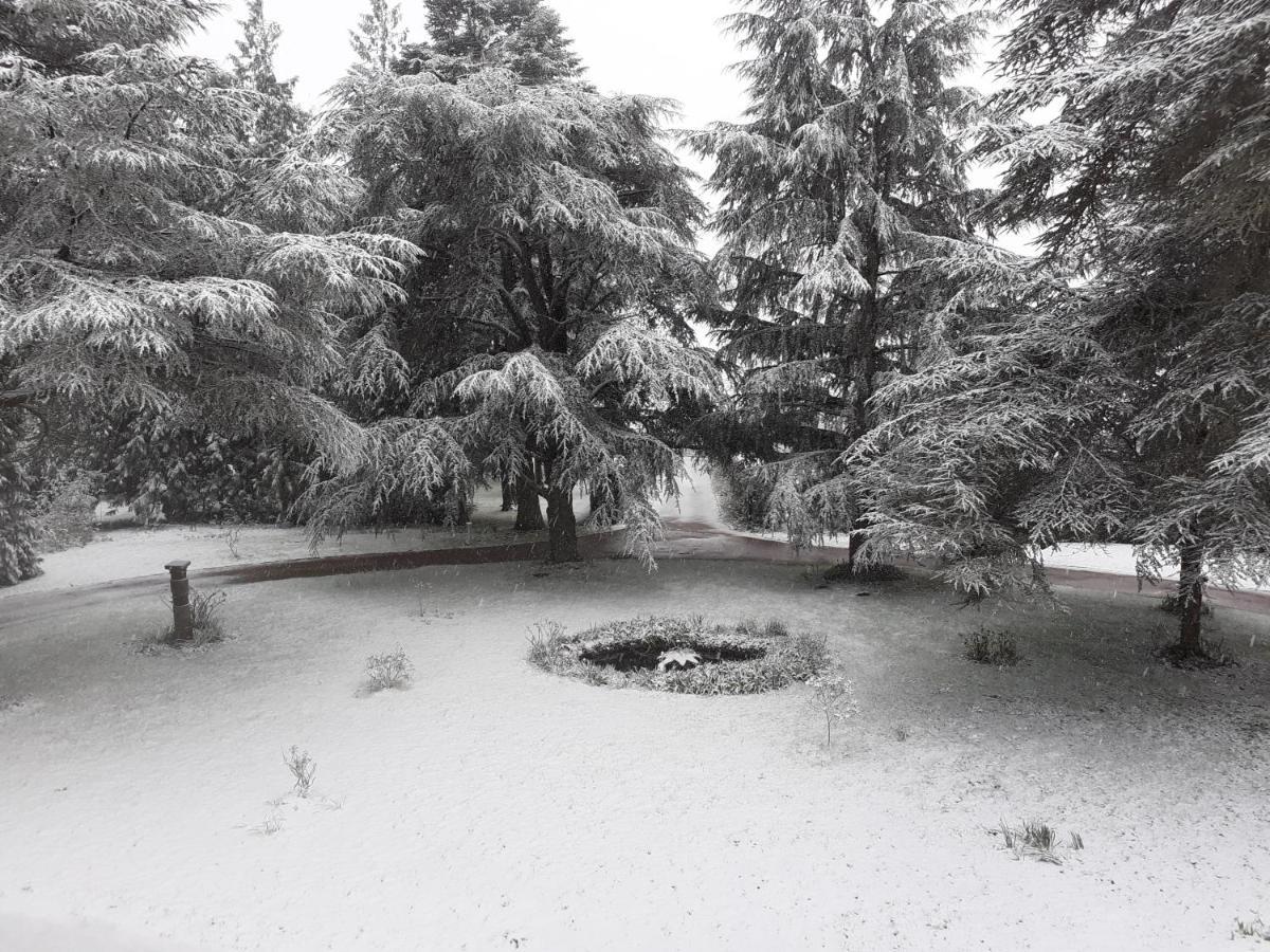 Manoir De Camblain Bed & Breakfast Dış mekan fotoğraf