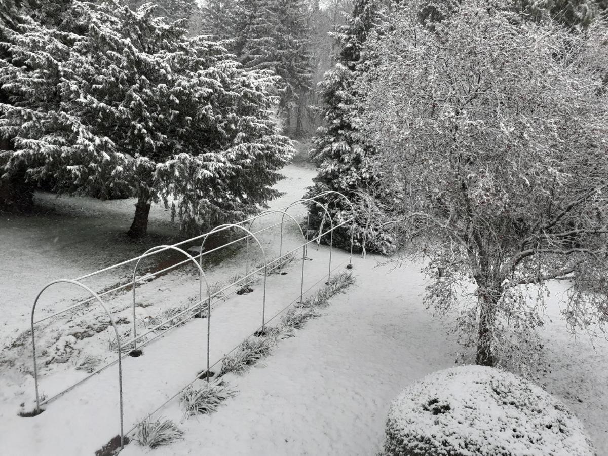 Manoir De Camblain Bed & Breakfast Dış mekan fotoğraf